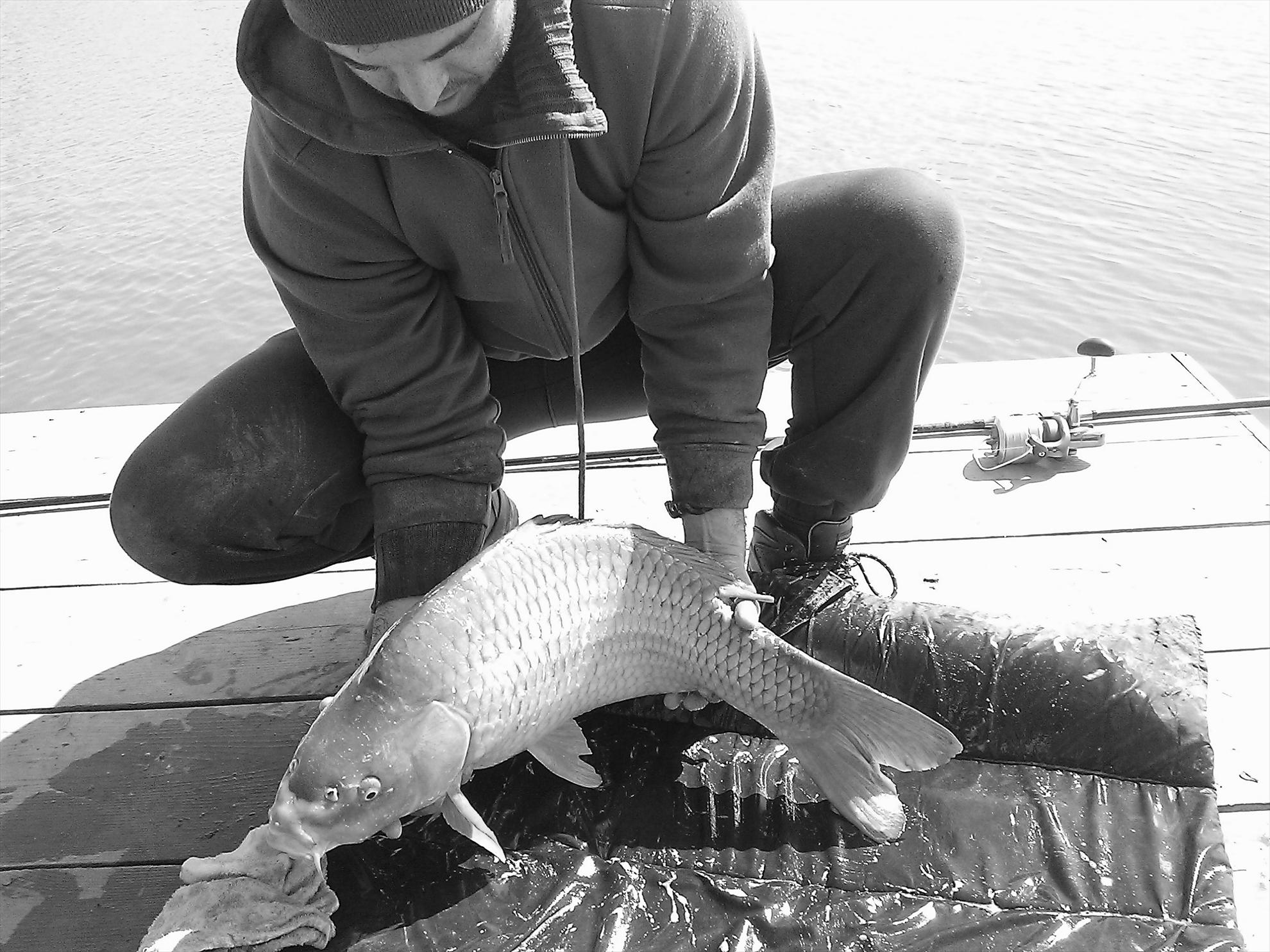 Fa-i poza daca poti... - wp201303230391.jpg